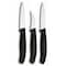 Swiss Army Brands 2024 6.7600.3Us1 48042 Vic-6.7113.3-X3 Kitchen Swiss Classic Sets 3-Piece Paring Set Black Packaged VIC-6.7503-X3 - alternate 1